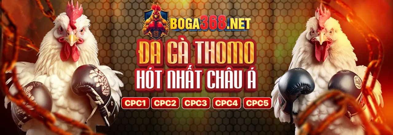 HL8 Cam Kết Tuân Thủ GDPR